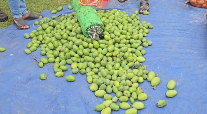 আমের বস্তায় মিলল ফেনসিডিল, গ্রেপ্তার ২