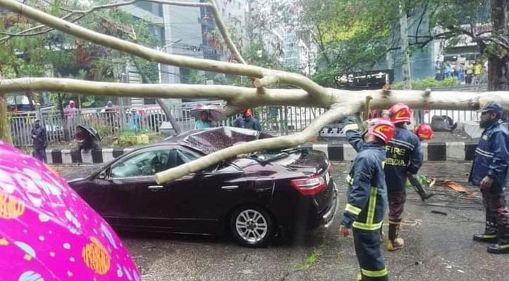 রাজধানীর বিভিন্ন স্থানে গাছ ভেঙে পড়ার খবর পাচ্ছে ফায়ার সার্ভিস