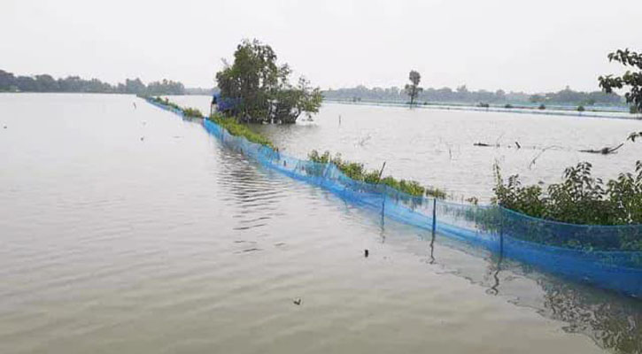 ভেসে গেছে ৩৫ হাজার ঘেরের মাছ, ৭৩ কোটি টাকার ক্ষতি