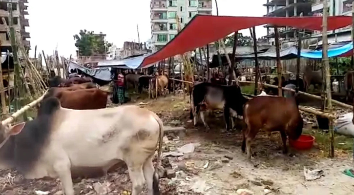 আফতাবনগরে বসতে পারবে না পশুর হাট, হাইকোর্টের আদেশ বহাল 