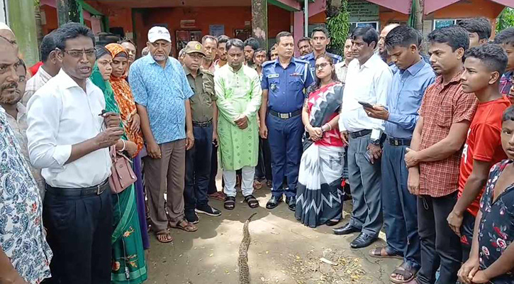 সুনামগঞ্জে অজগরের বাচ্চাকে ‘রাসেলস ভাইপার’ বলে অপপ্রচার, জনমনে আতঙ্ক