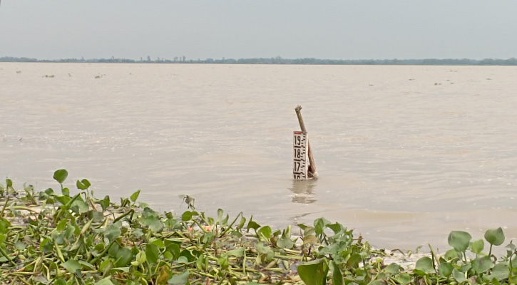 সিরাজগঞ্জে আবারও বাড়ছে যমুনার পানি