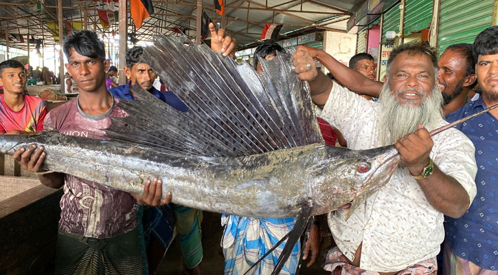 মেঘনায় ধরা পড়ল দুটি পাখি মাছ, দেখতে স্থানীয়দের ভিড় 