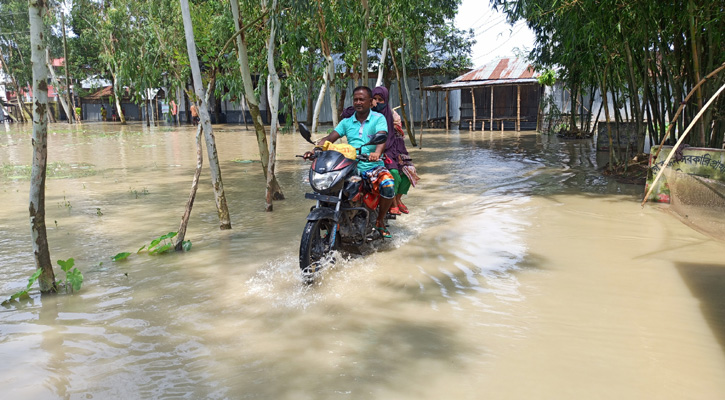 বিপৎসীমার ২৯ সেন্টিমিটার নিচে তিস্তার পানি