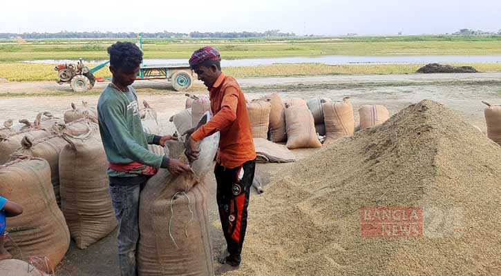 হবিগঞ্জে বোরো সংগ্রহের লক্ষ্যমাত্রা অর্জনে শঙ্কা