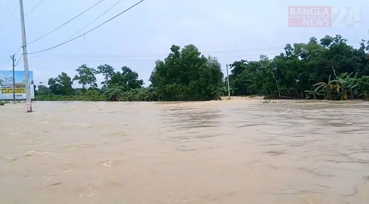 বন্যায় মৌলভীবাজারে প্রাণিসম্পদের ক্ষয়ক্ষতি প্রায় ৮৪ লাখ টাকা