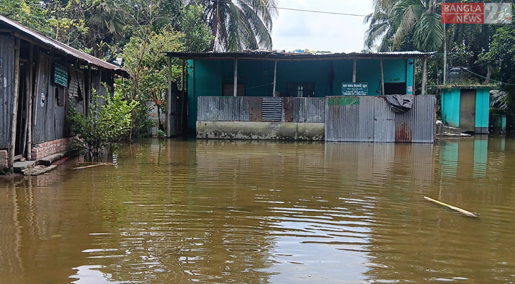 লক্ষ্মীপুরে ভারী বৃষ্টিপাতে বন্যার পানির উচ্চতা বেড়েছে