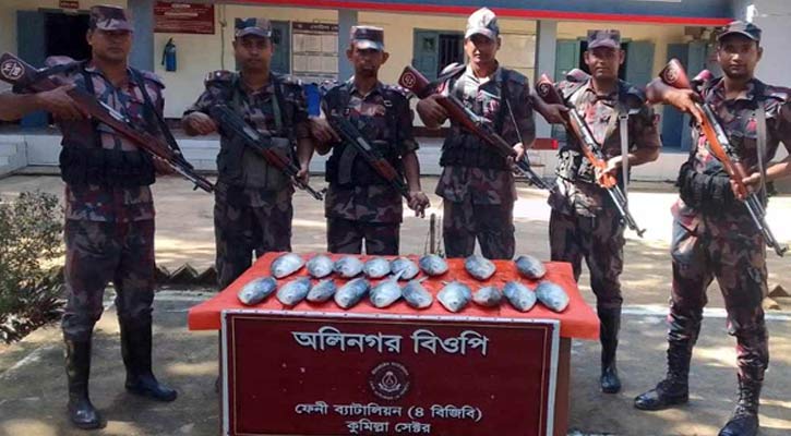 ভারতে পাচারের সময় মিরসরাই সীমান্তে ইলিশ জব্দ