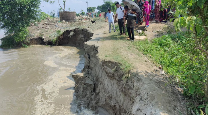 পদ্মার ভাঙনে বিলীন ১০ বসতভিটা-৩০ একর ফসলি জমি 