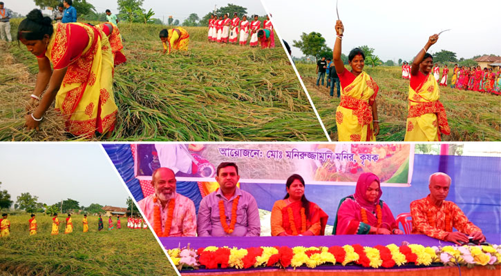 নেচে-গেয়ে নবান্ন উৎসবে মাতলেন চৈতন্যপুর গ্রামের মানুষ