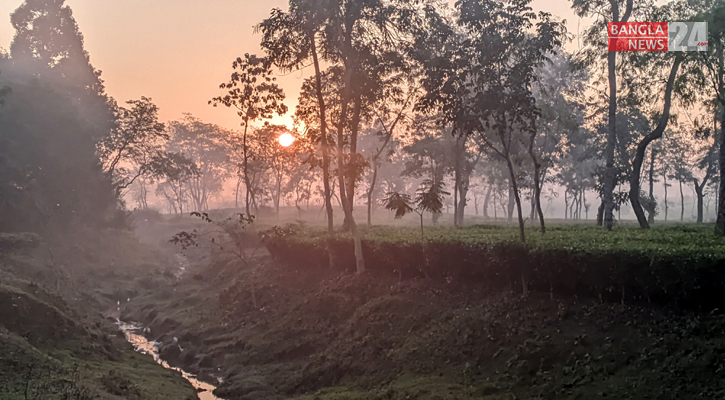 দিন-রাতের তাপমাত্রা কমার পূর্বাভাস