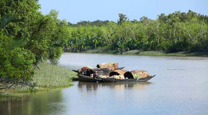 সুন্দরবনে ৩ জেলে অপহরণ, চাওয়া হলো মুক্তিপণ