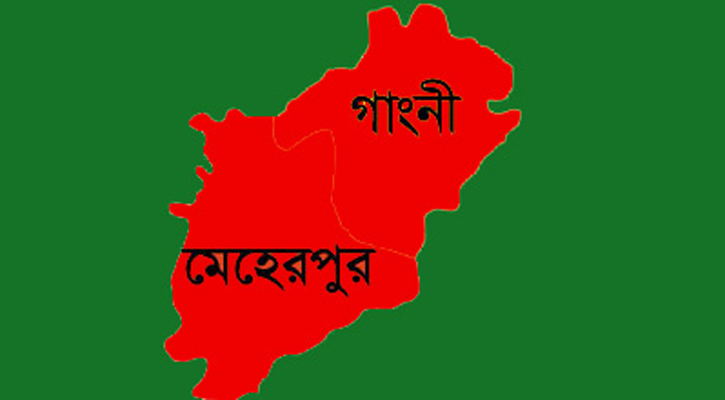 গাংনীতে ট্রাকচাপায় বাইক আরোহী নিহত