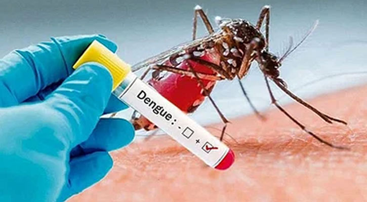ডেঙ্গু আক্রান্ত হয়ে হাসপাতালে ভর্তি আরও ১৭ 