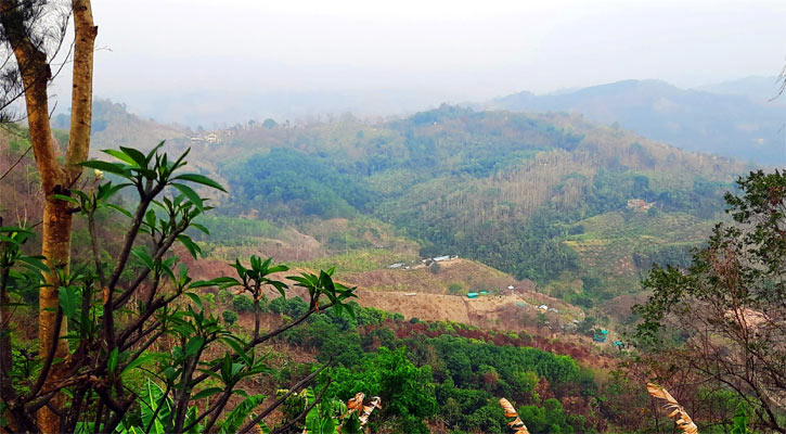 লামায় রাবারবাগানের ২০ শ্রমিককে অপহরণ