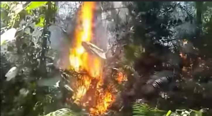 সিংড়া জাতীয় উদ্যানে অগ্নিকাণ্ড