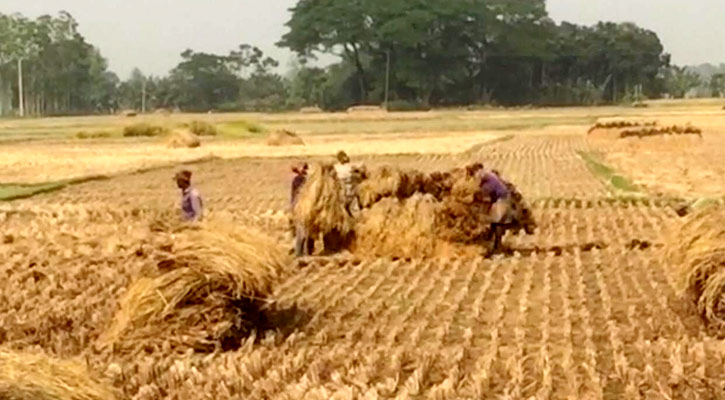 গরমে পুড়ছে যশোর, অতিষ্ঠ জনজীবন